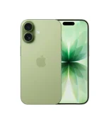 iPhone 17 256 ГБ Sage (eSim)